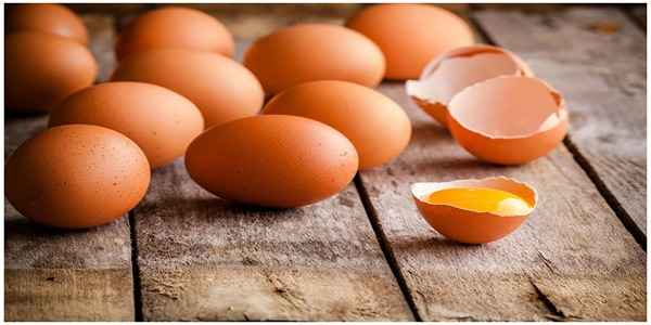 تصویر 3 از خرید تخم مرغ ارگانیک + قیمت فروش استثنایی